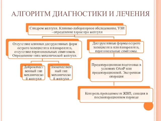 АЛГОРИТМ ДИАГНОСТИКИ И ЛЕЧЕНИЯ