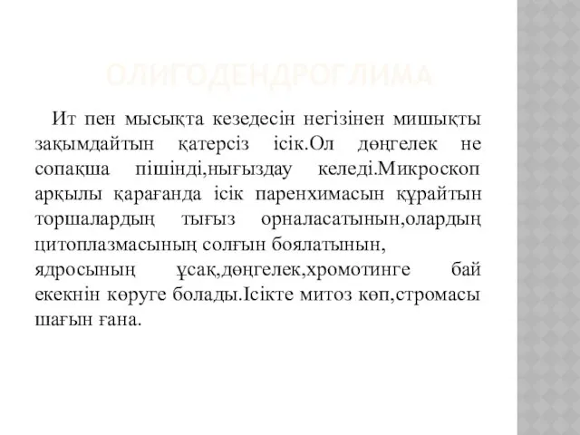 ОЛИГОДЕНДРОГЛИМА Ит пен мысықта кезедесін негізінен мишықты зақымдайтын қатерсіз ісік.Ол