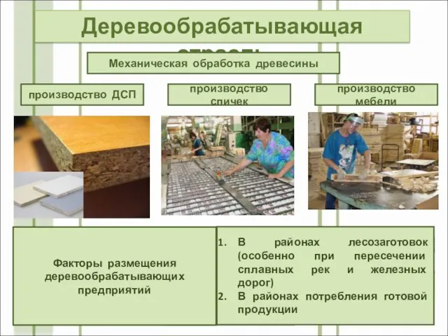 производство ДСП Деревообрабатывающая отрасль Механическая обработка древесины производство спичек производство