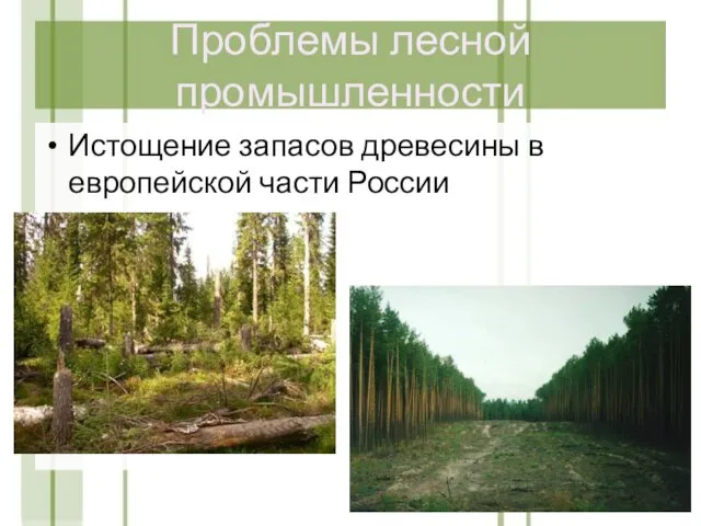 Проблемы лесной промышленности Истощение запасов древесины в европейской части России