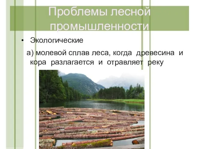 Проблемы лесной промышленности Экологические а) молевой сплав леса, когда древесина и кора разлагается и отравляет реку