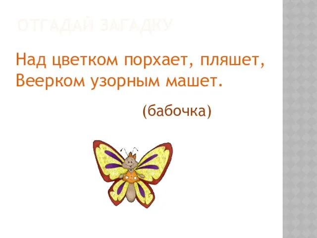 ОТГАДАЙ ЗАГАДКУ Над цветком порхает, пляшет, Веерком узорным машет. (бабочка)