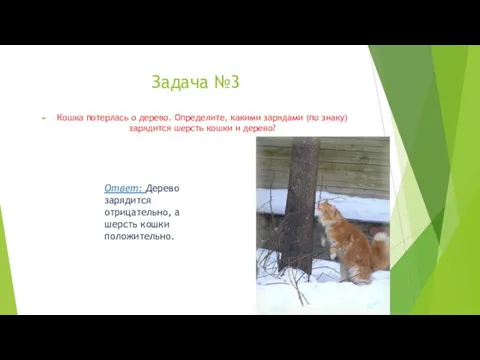 Задача №3 Кошка потерлась о дерево. Определите, какими зарядами (по