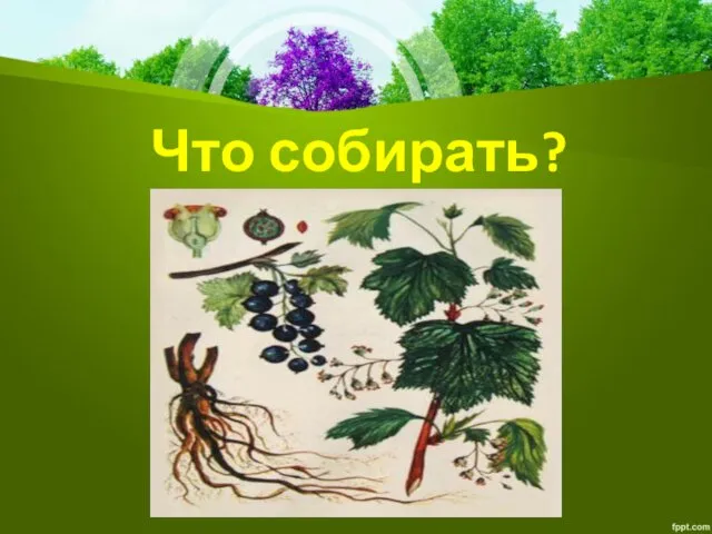 Что собирать?