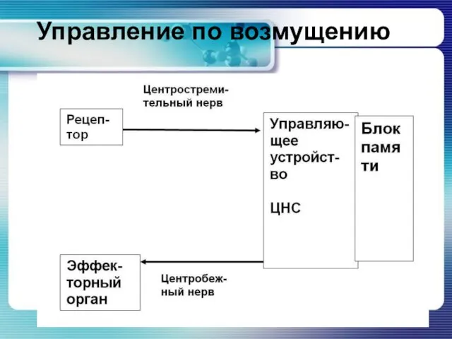 Управление по возмущению