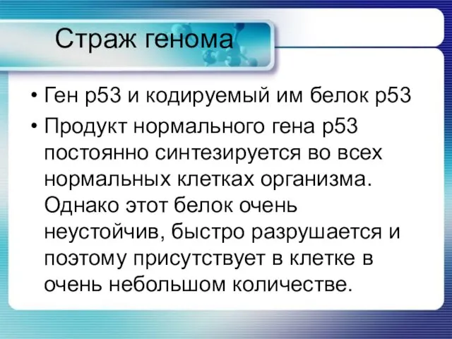 Страж генома Ген р53 и кодируемый им белок р53 Продукт