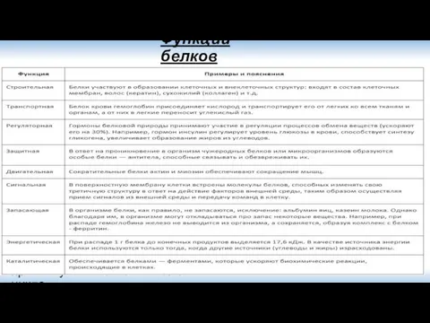 Функции белков Функции белков в клетках живых организмов более разнообразны,