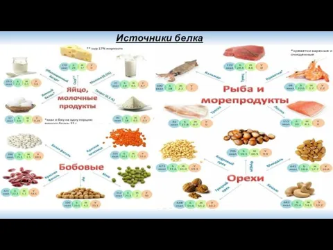 Источники белка