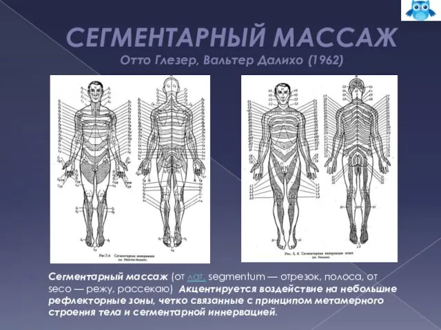 СЕГМЕНТАРНЫЙ МАССАЖ Отто Глезер, Вальтер Далихо (1962) Сегментарный массаж (от лат. segmentum —