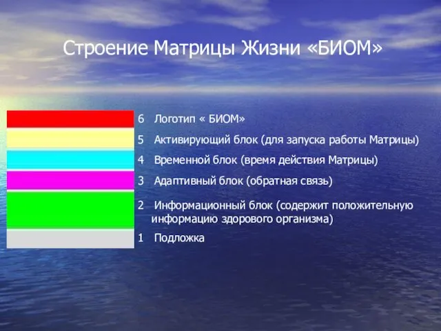 Строение Матрицы Жизни «БИОМ» 6 Логотип « БИОМ» 5 Активирующий