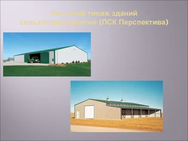 Сельский типаж зданий сельхозпредприятий (ПСК Перспектива)