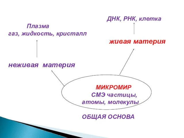 ДНК, РНК, клетка Плазма газ, жидкость, кристалл живая материя неживая