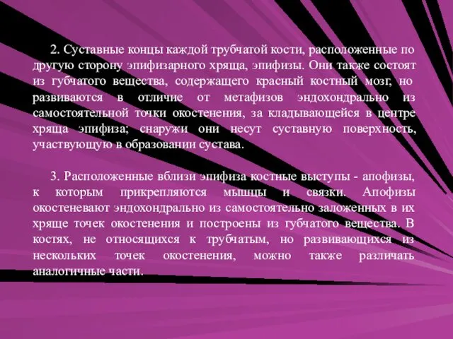 2. Суставные концы каждой трубчатой кости, расположенные по другую сторону эпифизарного хряща, эпифизы.