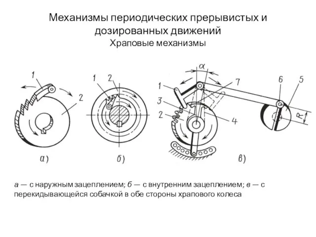 Механизмы периодических прерывистых и дозированных движений Храповые механизмы а —