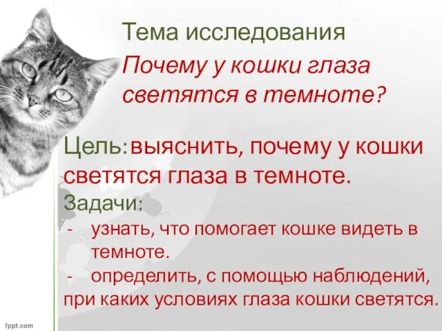 Тема исследования Почему у кошки глаза светятся в темноте? Цель: