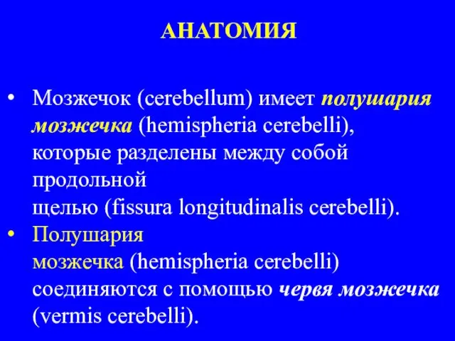 АНАТОМИЯ Mозжечoк (cerebellum) имеет полушария мозжечка (hemispheria cerebelli), которые разделены