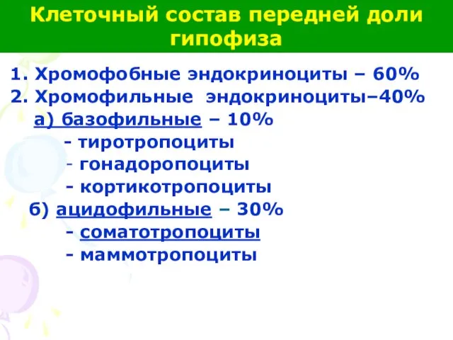 1. Хромофобные эндокриноциты – 60% 2. Хромофильные эндокриноциты–40% а) базофильные