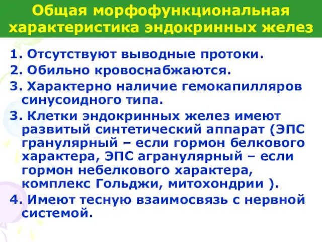 1. Отсутствуют выводные протоки. 2. Обильно кровоснабжаются. 3. Характерно наличие