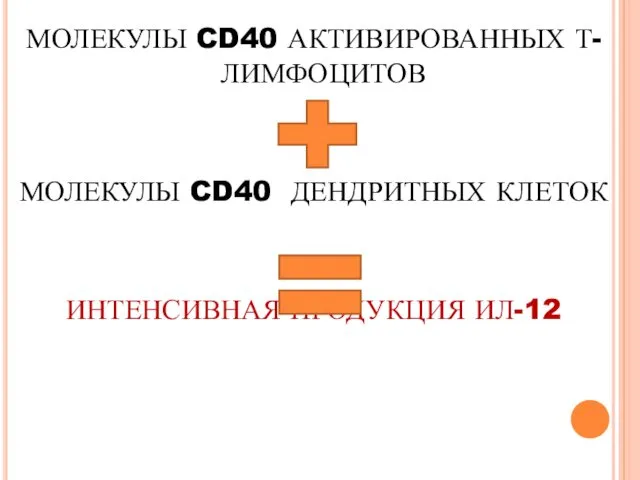 МОЛЕКУЛЫ CD40 АКТИВИРОВАННЫХ Т-ЛИМФОЦИТОВ МОЛЕКУЛЫ CD40 ДЕНДРИТНЫХ КЛЕТОК ИНТЕНСИВНАЯ ПРОДУКЦИЯ ИЛ-12