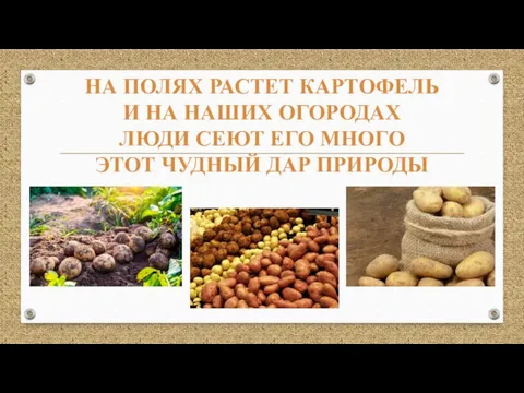 НА ПОЛЯХ РАСТЕТ КАРТОФЕЛЬ И НА НАШИХ ОГОРОДАХ ЛЮДИ СЕЮТ ЕГО МНОГО ЭТОТ ЧУДНЫЙ ДАР ПРИРОДЫ