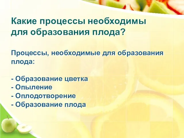 Какие процессы необходимы для образования плода? Процессы, необходимые для образования