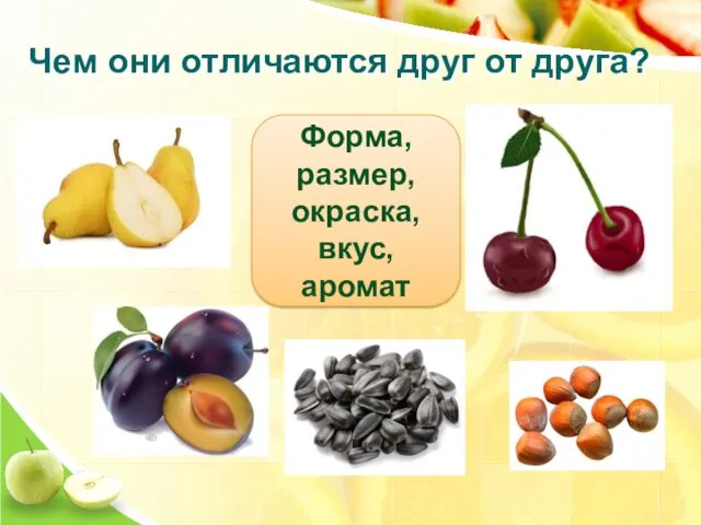 Чем они отличаются друг от друга? Форма, размер, окраска, вкус, аромат