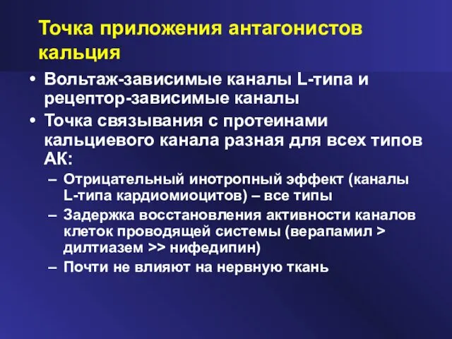 Точка приложения антагонистов кальция Вольтаж-зависимые каналы L-типа и рецептор-зависимые каналы