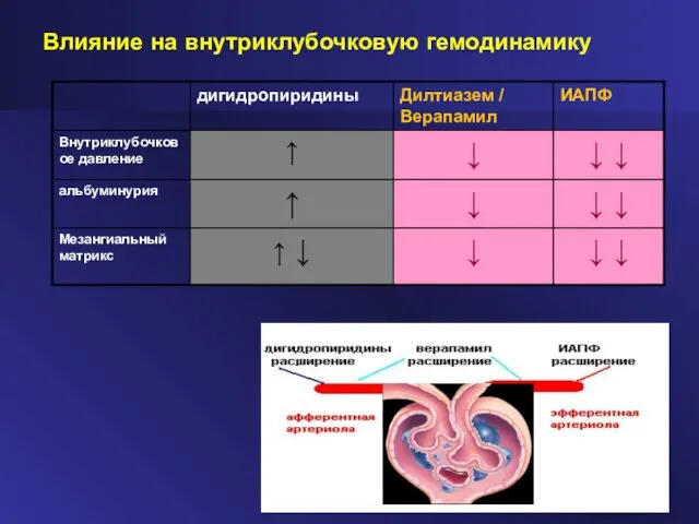 Влияние на внутриклубочковую гемодинамику