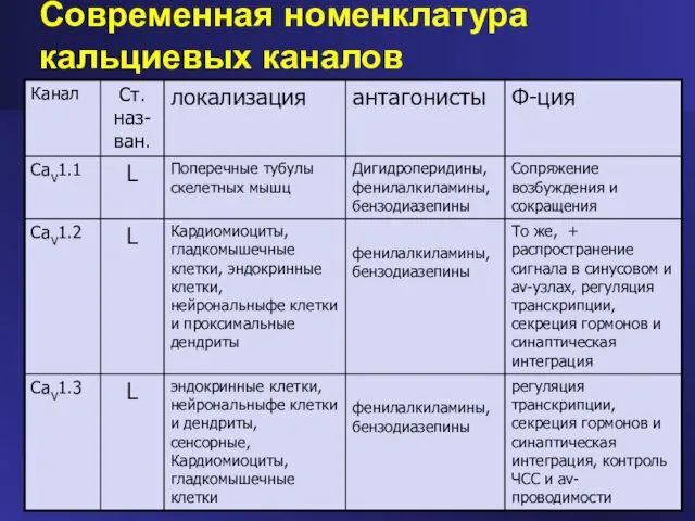 Современная номенклатура кальциевых каналов