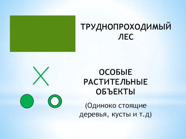 ТРУДНОПРОХОДИМЫЙ ЛЕС ОСОБЫЕ РАСТИТЕЛЬНЫЕ ОБЪЕКТЫ (Одиноко стоящие деревья, кусты и т.д)