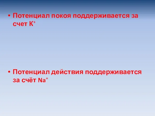 Потенциал покоя поддерживается за счет К+ Потенциал действия поддерживается за счёт Na+