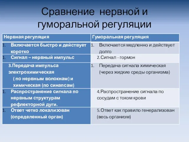 Сравнение нервной и гуморальной регуляции