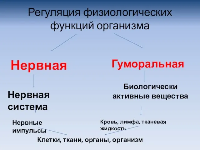 Регуляция физиологических функций организма Нервная Гуморальная Нервная система Нервные импульсы