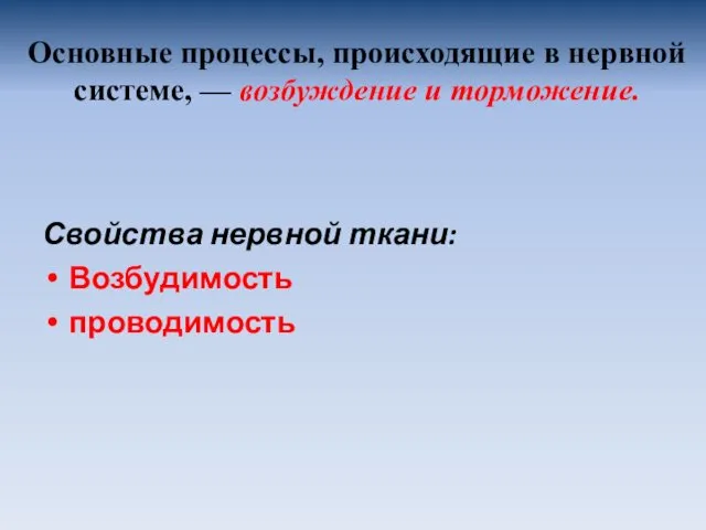 Основные процессы, происходящие в нервной системе, — возбуждение и торможение. Свойства нервной ткани: Возбудимость проводимость