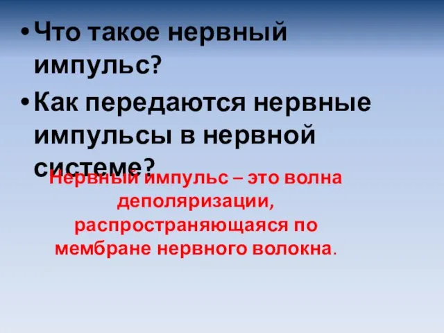 Что такое нервный импульс? Как передаются нервные импульсы в нервной