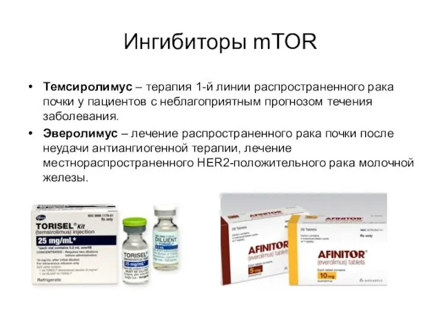 Ингибиторы mTOR Tемсиролимус – терапия 1-й линии распространенного рака почки