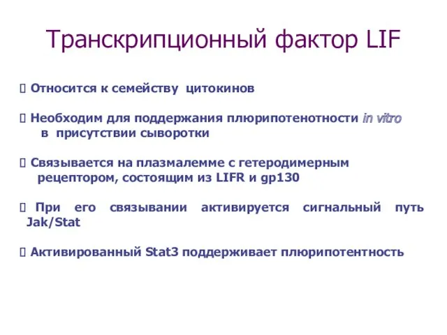 Транскрипционный фактор LIF Относится к семейству цитокинов Необходим для поддержания