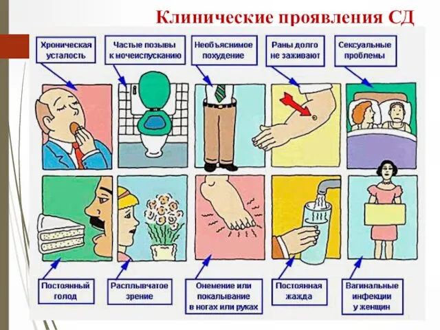 Клинические проявления СД