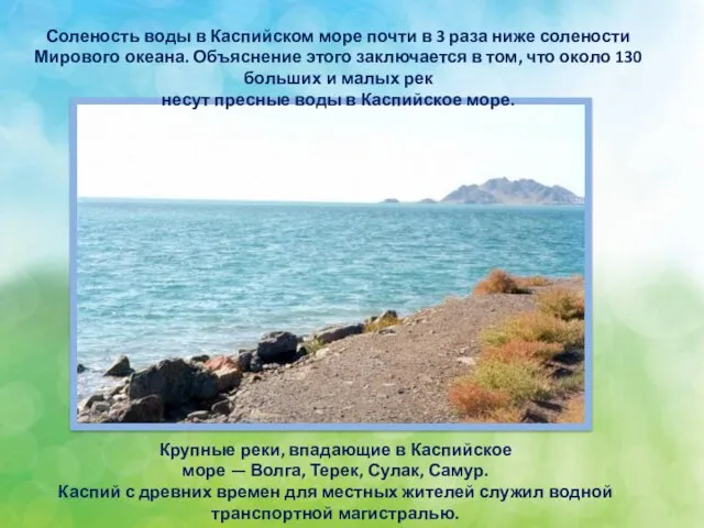 Крупные реки, впадающие в Каспийское море — Волга, Терек, Сулак,