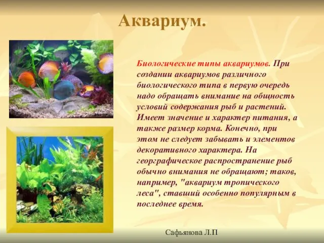 Аквариум. Биологические типы аквариумов. При создании аквариумов различного биологического типа в первую очередь