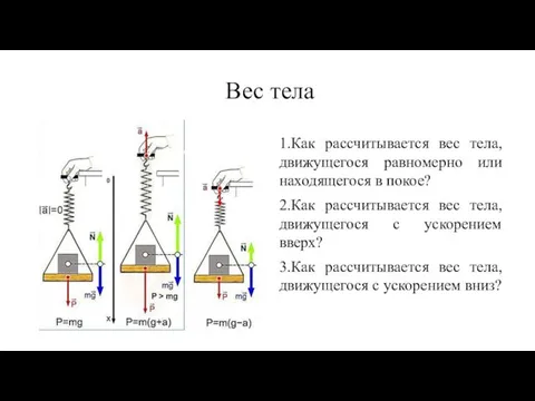 Вес тела 1.Как рассчитывается вес тела, движущегося равномерно или находящегося