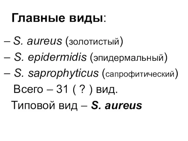 Главные виды: – S. aureus (золотистый) – S. epidermidis (эпидермальный) – S. saprophyticus