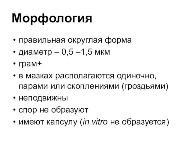 Морфология правильная округлая форма диаметр – 0,5 –1,5 мкм грам+ в мазках располагаются