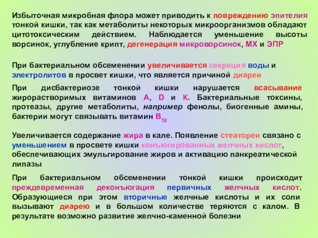 Избыточная микробная флора может приводить к повреждению эпителия тонкой кишки,