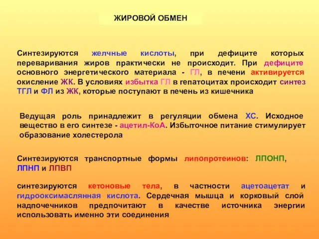 ЖИРОВОЙ ОБМЕН Синтезируются желчные кислоты, при дефиците которых переваривания жиров