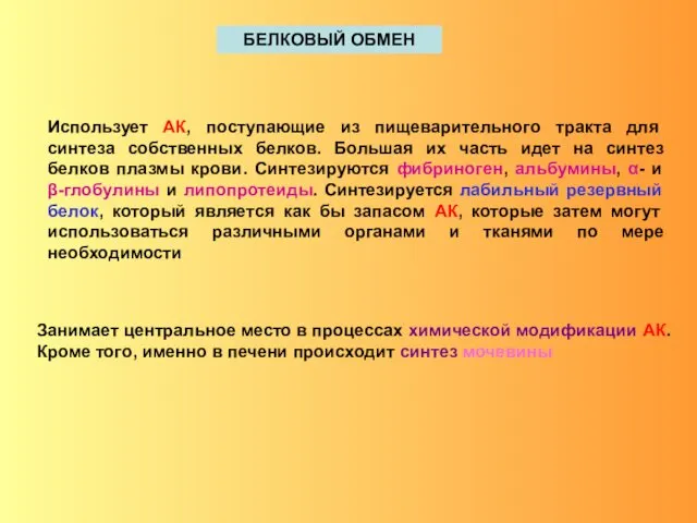 БЕЛКОВЫЙ ОБМЕН Использует АК, поступающие из пищеварительного тракта для синтеза