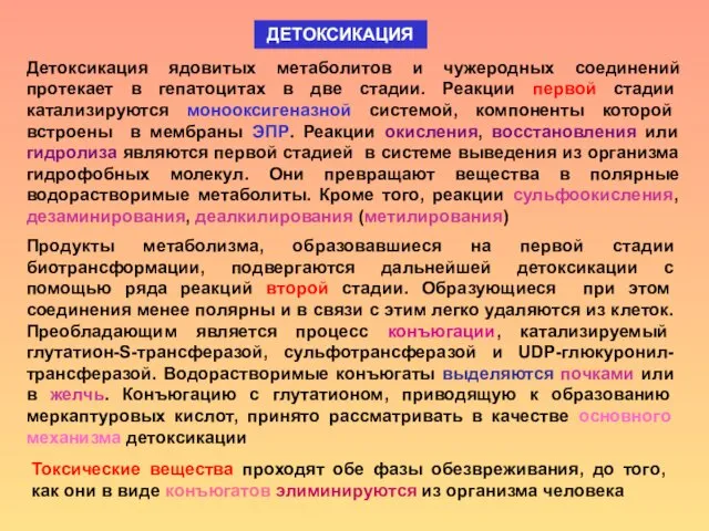 ДЕТОКСИКАЦИЯ Детоксикация ядовитых метаболитов и чужеродных соединений протекает в гепатоцитах