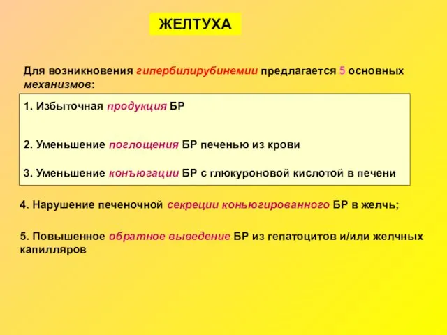 ЖЕЛТУХА Для возникновения гипербилирубинемии предлагается 5 основных механизмов: 1. Избыточная