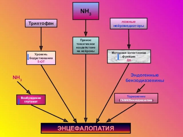 NH3 Триптофан ложные нейромедиаторы Прямое токсическое воздействие на нейроны Уровень