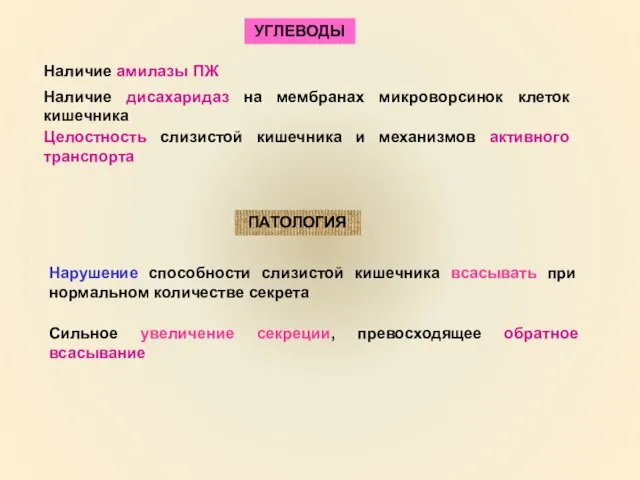 Наличие амилазы ПЖ УГЛЕВОДЫ Наличие дисахаридаз на мембранах микроворсинок клеток